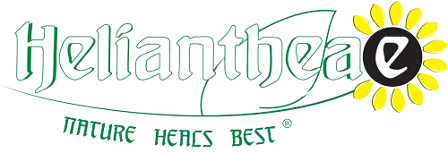 Heliantheae EN